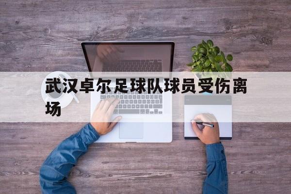 武汉卓尔足球队球员受伤离场