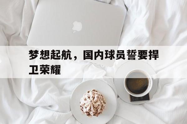 梦想起航，国内球员誓要捍卫荣耀的简单介绍